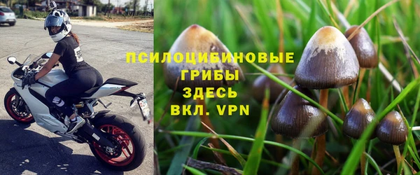 каннабис Арсеньев